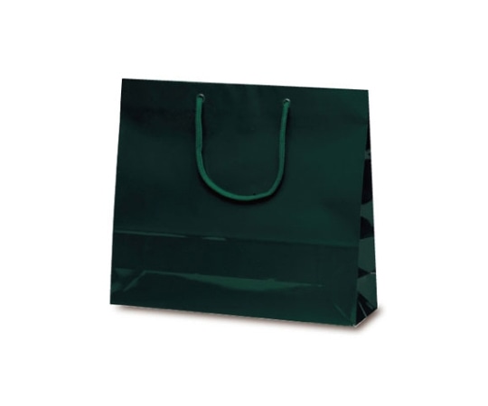ベルベ 紙袋 ファインバック ダークグリーン 50枚 1192 1ケース（ご注文単位1ケース）【直送品】