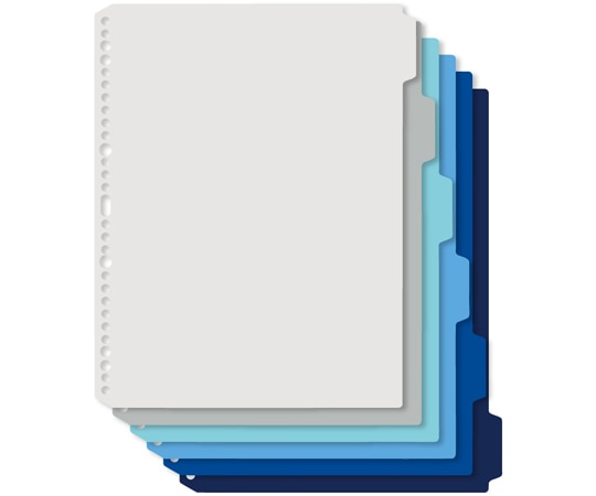 プラス デジャヴカラーズ インデックスシート A4-S クールトーンライン 6山×1組入 FL-102IX 1パック(ご注文単位1パック)【直送品】