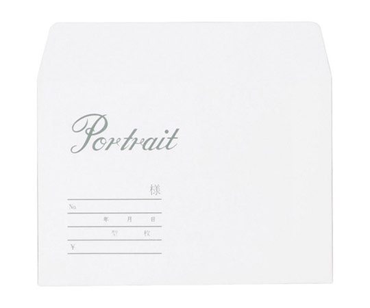 ハクバ写真産業 写真袋 大名刺 100枚入 MPB-DM 1セット(ご注文単位1セット)【直送品】