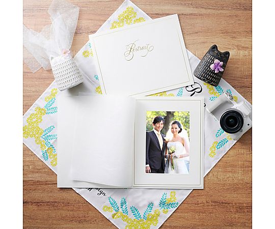 ハクバ写真産業 普通台紙 NO.700 2L 1面 タテ 5枚セット M700-2LT5S-1 1セット(ご注文単位1セット)【直送品】