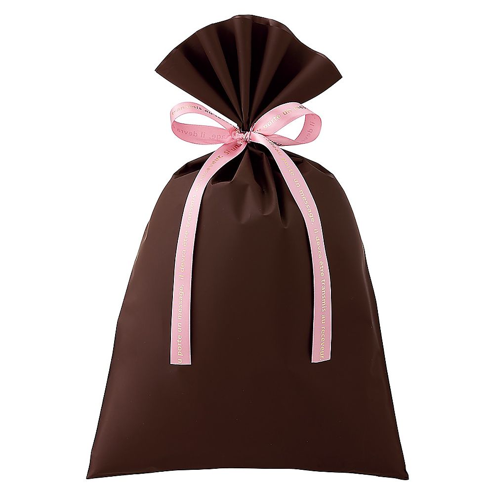 アズワン 無地 梨地ギフトバッグ ブラウン 幅24×高さ38cm 20枚 61-811-43-2 1セット（ご注文単位1セット）【直送品】