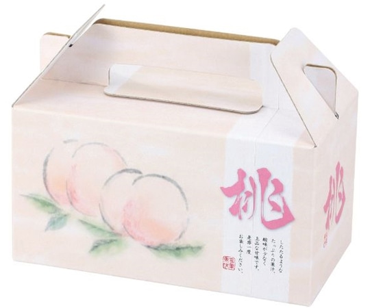 ヤマニパッケージ 青果用贈答箱 桃果手提2個入 100枚 L-2282 1ケース（ご注文単位1ケース）【直送品】