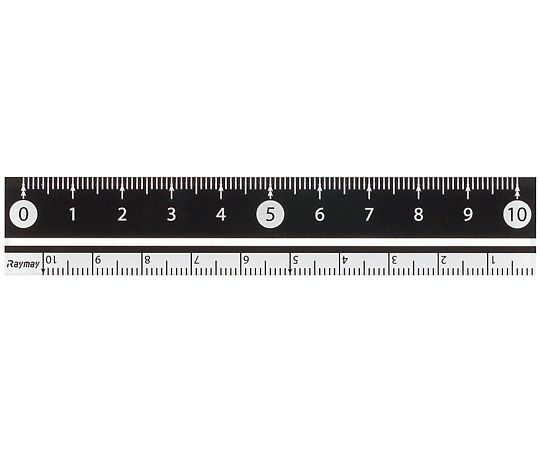 レイメイ藤井 白・黒 直定規 10センチ 黒 APJ128B 1本(ご注文単位1本)【直送品】