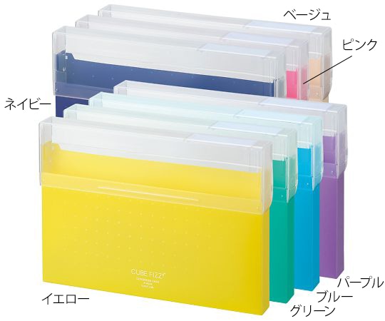LIHITLAB CUBE FIZZ コングレスケース パープル A6024-10 1冊(ご注文単位1冊)【直送品】