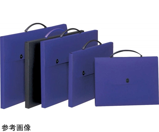 ライオン事務器 デザインケース DS-253(DB) 1個(ご注文単位1個)【直送品】