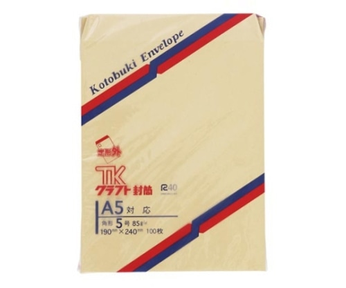寿堂 クラフト封筒 1袋(100枚入) 953 1袋(ご注文単位1袋)【直送品】