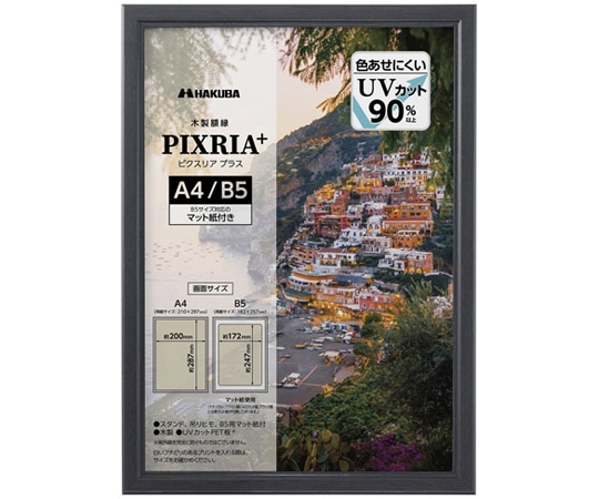 ハクバ写真産業 木製額 ピクスリアプラス A4 BK FWPXP-BKA4 1枚(ご注文単位1枚)【直送品】