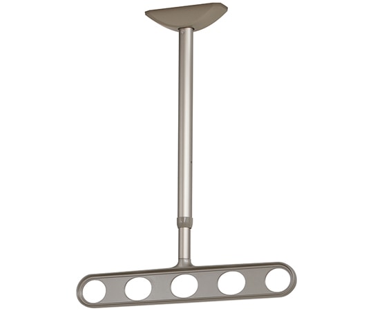 川口技研 ホスクリーン 軒天用 屋外物干し金物 ステンカラー 2本入 ZA-0745-ST 1セット(ご注文単位1セット)【直送品】