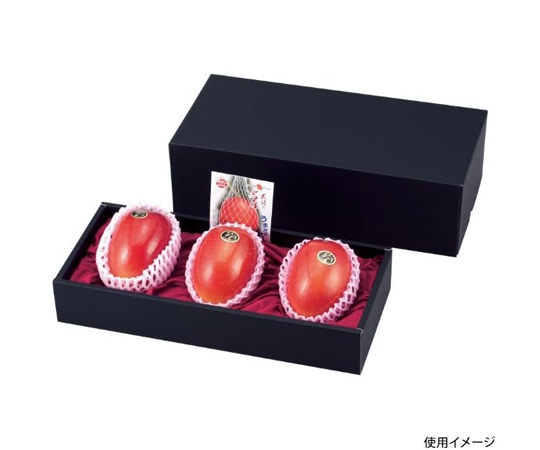 ヤマニパッケージ 青果用贈答箱 マンゴー 3個入 黒 40枚 L-2175 1ケース（ご注文単位1ケース）【直送品】