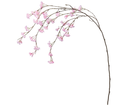 アズワン シダレ桜スプレー 120cm 3本 33-6-8-1 1本(ご注文単位1本)【直送品】