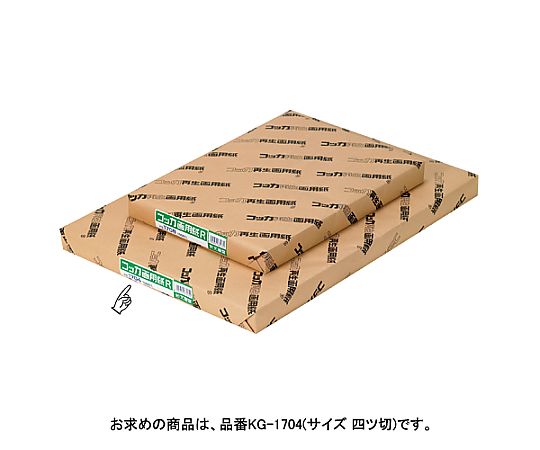 文運堂 コッカ再生画用紙 1包(100枚入) KG-1704 1包(ご注文単位1包)【直送品】