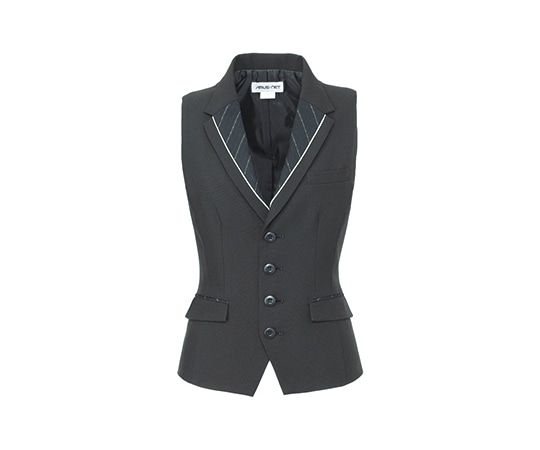 カーシーカシマ AMUS-NET ベスト 253-10 LL AAH253 1枚（ご注文単位1枚）【直送品】