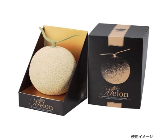 ヤマニパッケージ 青果用贈答箱 メロン飾 1個入 ブラックL 100枚 L-2210 1ケース（ご注文単位1ケース）【直送品】