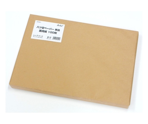 アーテック 画用紙八ツ切 単品 3454 1箱(ご注文単位1箱)【直送品】