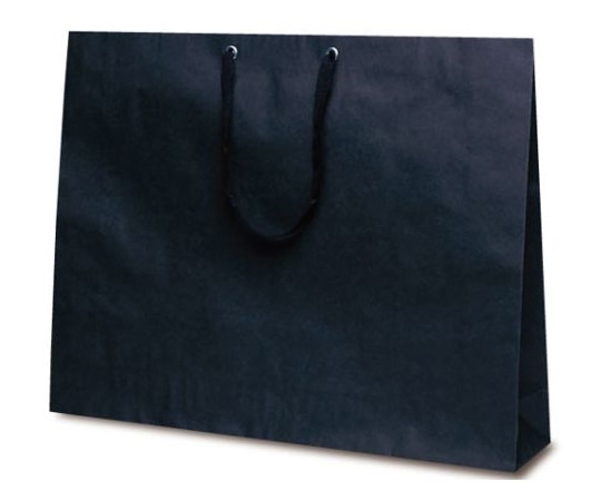 ベルベ 紙袋 手提袋 T-ショルダー17 黒 無地 50枚 1989 1ケース（ご注文単位1ケース）【直送品】