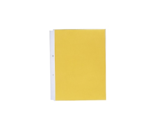 LIHITLAB ルポ・リーンフォース・クリヤーポケット<超厚口> 1組(10枚入) N2101 1組(ご注文単位1組)【直送品】