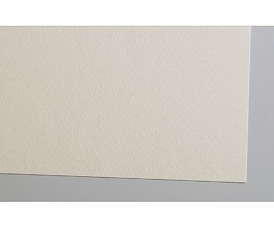 アーテック Muワトソン水彩紙 厚口 190g ナチュラル10枚 135150 1パック(ご注文単位1パック)【直送品】