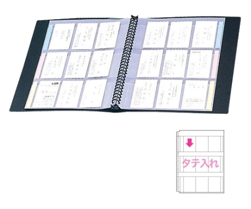 セキセイ セグレス名刺ホルダー NPX-18-00 1パック(ご注文単位1パック)【直送品】