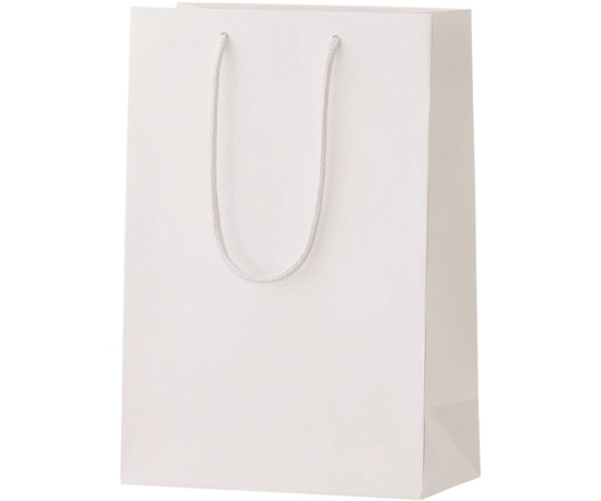 丸玉工業 シャイニーバッグ S ホワイト 100枚入  1ケース（ご注文単位1ケース）【直送品】