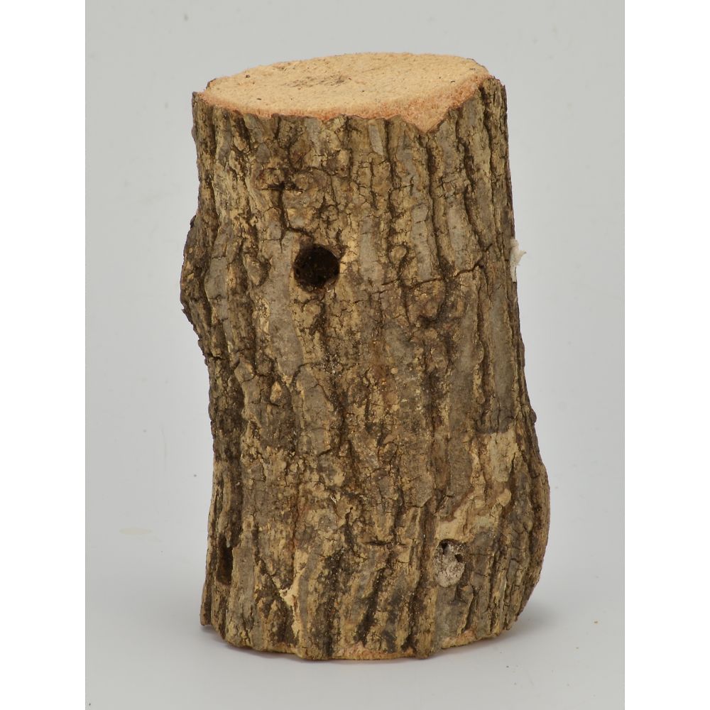 三晃商会 特選朽木 T74 1個（ご注文単位1個）【直送品】