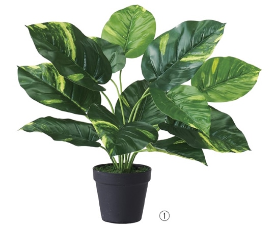 アズワン グリーンポット(フェイクグリーン) ポトス 61-655-68-1 1個(ご注文単位1個)【直送品】