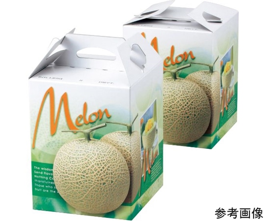 ヤマニパッケージ 青果用贈答箱 パラディスメロン1個入手提 100枚 L-2169 1ケース(ご注文単位1ケース)【直送品】