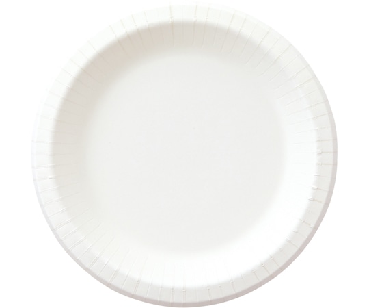 ペーパーウェア ナチュラルパルプボウル 24cm 1ケース(50個×12袋入) NB-24 1ケース(ご注文単位1ケース)【直送品】