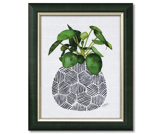 ユーパワー サマー ソーントン｢チャイニーズ マネー プラント｣ SU-10002 1個（ご注文単位1個）【直送品】