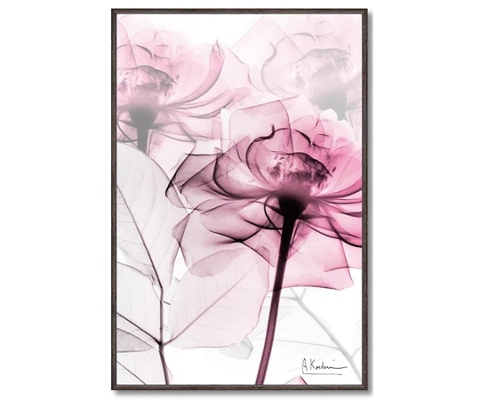 ユーパワー X RAY キャンバスアート｢ピンクローズ(Sサイズ)｣ XR-03817 1個（ご注文単位1個）【直送品】