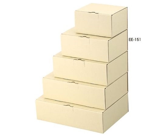 ヤマニパッケージ 宅配用 宅送用ギフト箱 10cm 60枚 EE-151 1ケース（ご注文単位1ケース）【直送品】