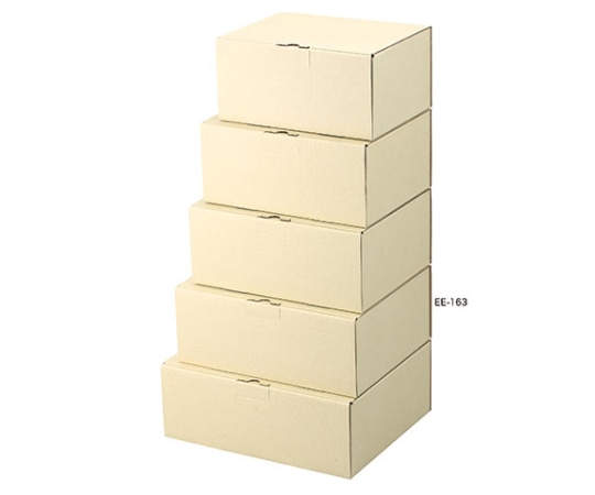 ヤマニパッケージ 宅配用 宅送用ギフト箱 12cm 50枚 EE-163 1ケース（ご注文単位1ケース）【直送品】