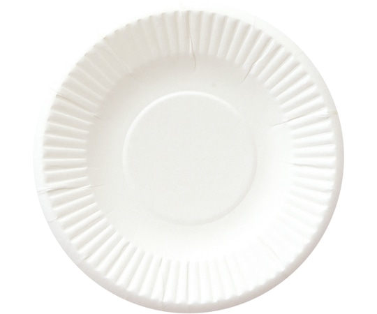 ペーパーウェア スタンダードプレートNo.4 1袋(100枚入) T-4S 1袋（ご注文単位1袋）【直送品】