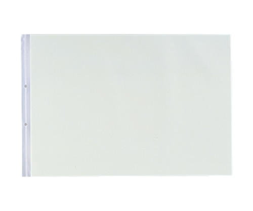 LIHITLAB P.P.クリヤーポケット 1組(10枚入) N2018 1組(ご注文単位1組)【直送品】