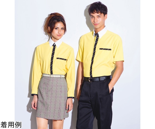 カーシーカシマ AMUS-NET シャツブラウス 防透 UVケア LL ASY226 1枚(ご注文単位1枚)【直送品】