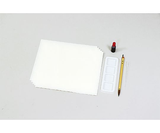 アーテック 水墨画個人セット 彩色筆付 20825 1セット(ご注文単位1セット)【直送品】