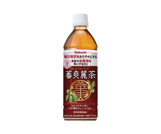 蕃爽麗茶 500mL 24本 114222 1ケース※軽（ご注文単位1ケース）【直送品】