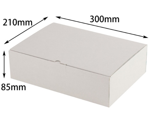 ヤマニパッケージ 贈答箱 ギフトボックス ハイグレー L イエロー 100枚 EE-413 1ケース（ご注文単位1ケース）【直送品】