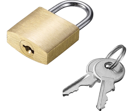 BUFFALO 南京錠単体 マスターキー仕様 BLN03M 1台(ご注文単位1台)【直送品】