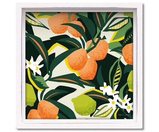 ユーパワー ロハス ミニアートフレーム ミーガン ギャラガー｢オレンジライム｣ LA-01302 1個（ご注文単位1個）【直送品】