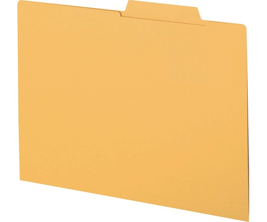 ライオン事務器 個別フォルダー A4-IF-A 1パック(ご注文単位1パック)【直送品】