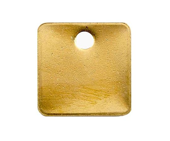 エスコ 25x25mm タグブランク(真鍮 角/10枚) EA591HC-11 1PACK(ご注文単位1PACK)【直送品】