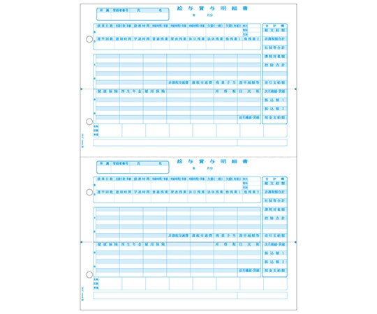 ヒサゴ 給与賞与明細書 1セット(500枚入) GB2102 1セット(ご注文単位1セット)【直送品】