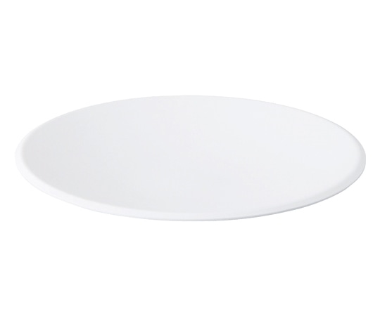 Daiwa 24cmプレート 白MT SJ-50-WM 1個(ご注文単位1個)【直送品】