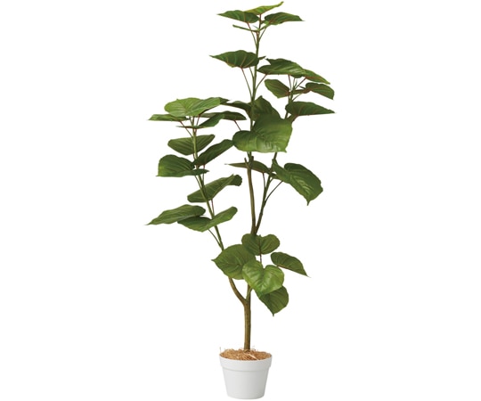 アズワン フィカスウンベラータ(フェイクグリーン 人工樹木)130cm 61-806-81-1 1個(ご注文単位1個)【直送品】