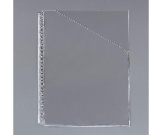 ライオン事務器 A4 クリアーポケット(台紙なし/10枚) EA762CC-44 1パック(ご注文単位1パック)【直送品】