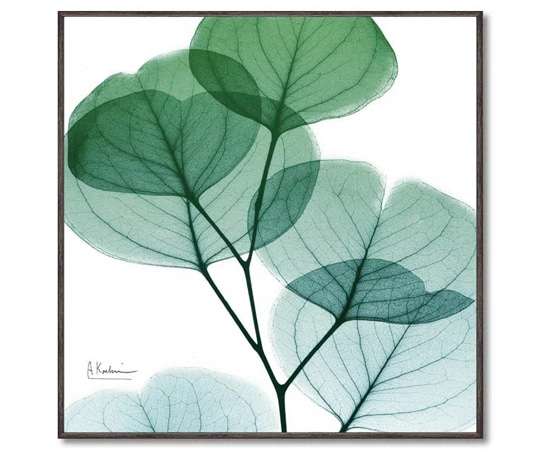 ユーパワー X RAY キャンバスアート｢ユーカリメイト(スクエアS)｣ XR-05803 1個（ご注文単位1個）【直送品】