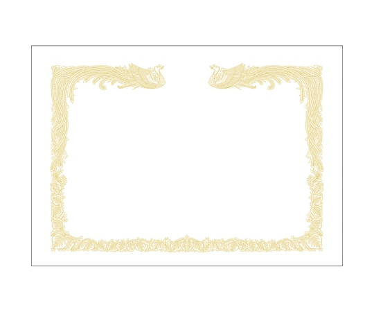 ササガワ OA賞状用紙 雲なし A3判 縦書用 100枚入 10-1480 1箱(ご注文単位1箱)【直送品】