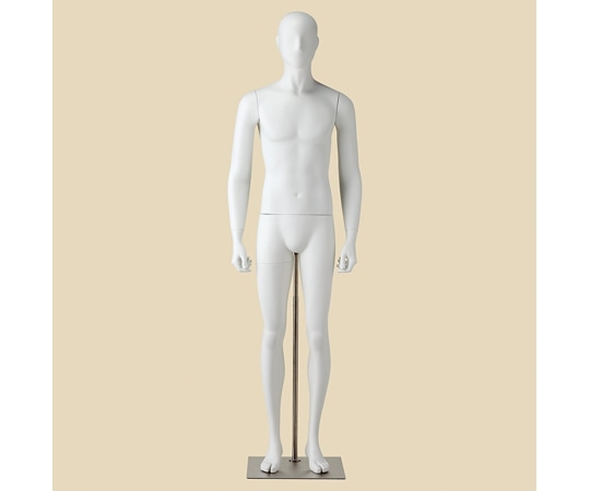 アズワン 紳士 全身腰受けリアルマネキン 直立 M 61-810-48-2 1個（ご注文単位1個）【直送品】