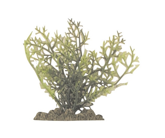 マルカン アクアティックプランツ SS-4 NAP-303 1個（ご注文単位1個）【直送品】