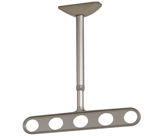 川口技研 ホスクリーン 軒天用 屋外物干し金物 ステンカラー 2本入 ZA-0645-ST 1セット（ご注文単位1セット）【直送品】